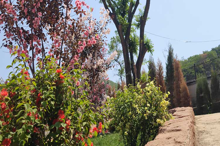 沈陽公墓下葬前壽衣的存放環(huán)境需要注意哪些細(xì)節(jié)？